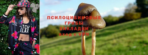 МДПВ Бородино