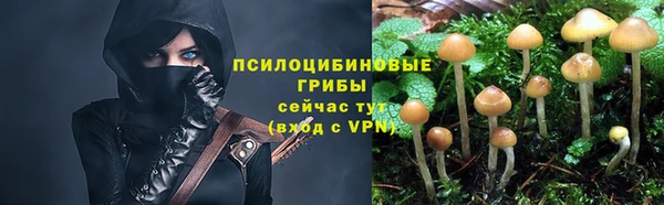 МДПВ Бородино