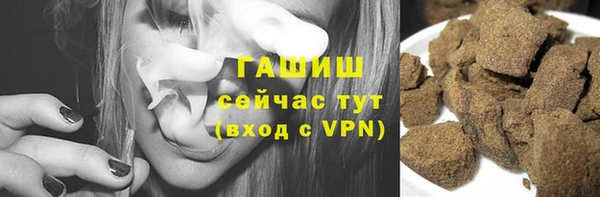 МДПВ Бородино