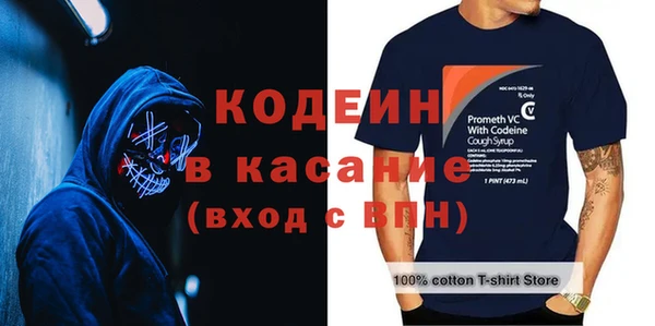 МДПВ Бородино