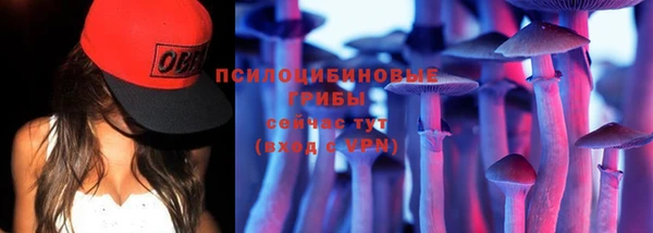 МДПВ Бородино