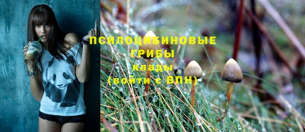 скорость Бронницы