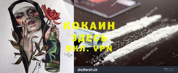 МДПВ Бородино