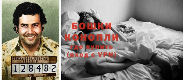 МДПВ Бородино