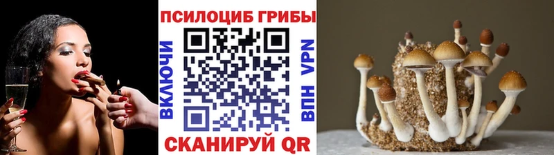Галлюциногенные грибы MAGIC MUSHROOMS  купить  сайты  это состав  Калуга 